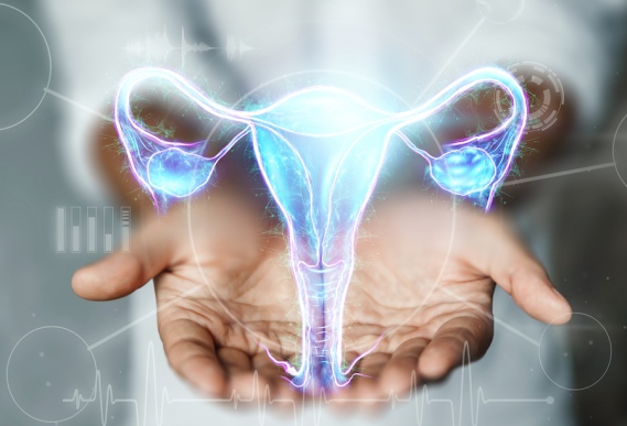 doctor-hologram-female-organ-uterus-medical-examination-women-s-consultation-ultrasound-gynecology-obstetrics-pregnancy-modern-medicine_1680876705-f88fb8749d86ca5563aa018dbafbed04.jpg